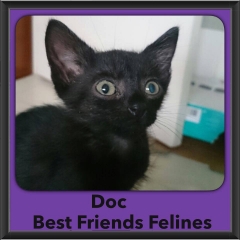 2015 - Adopted - Doc
