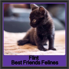 2017 - Adopted - Flint