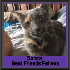 2017 - Adopted - Sansa