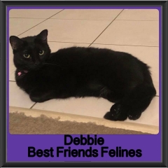 2018 - Debbie