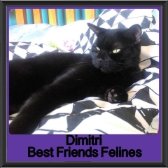 2018 - Dimitri