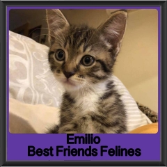 2018 - Emilio