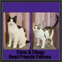 2018 - Dora and Diego