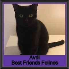 2019 - Avril