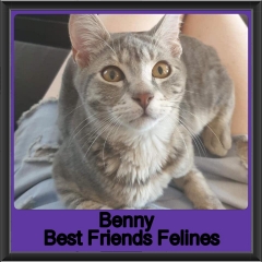 2019-Benny1