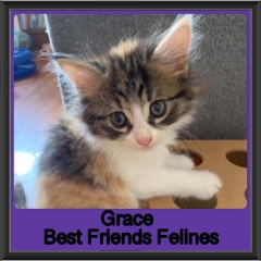 2019 - Grace