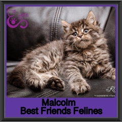 2019-Malcolm
