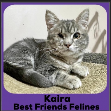 1_2023-Kaira