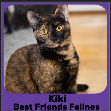 1_2023-Kiki