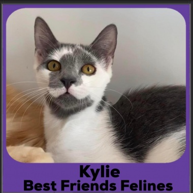 1_2023-Kylie