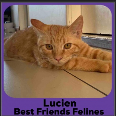 1_2023-Lucien