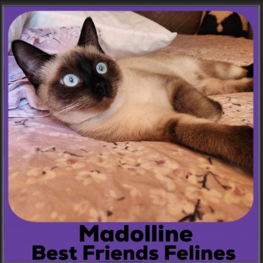 1_2023-Madolline