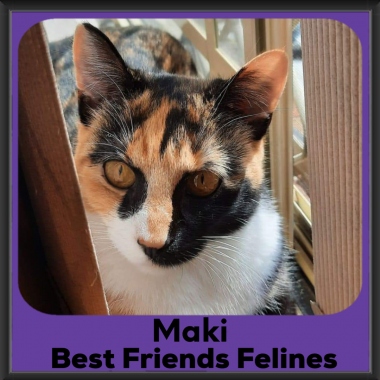 1_2023-Maki