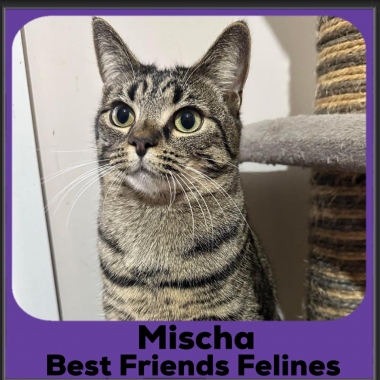 1_2023-Mischa