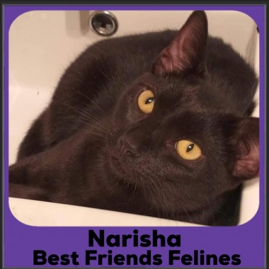 1_2023-Narisha