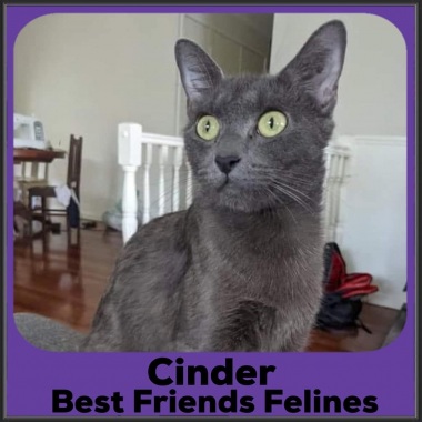 2021-Cinder2