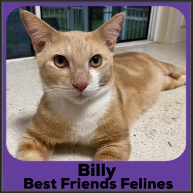 2022-Billy