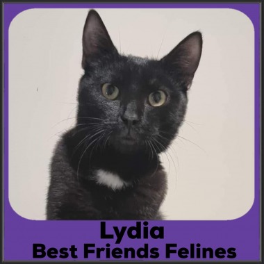 2022-Lydia2