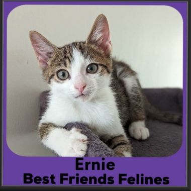2023-Ernie