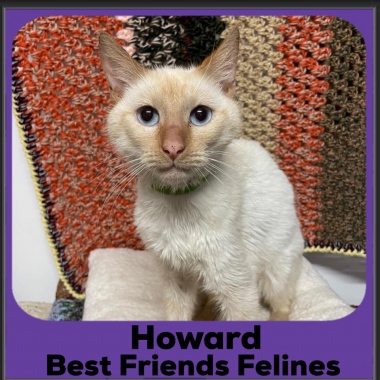 2023-Howard