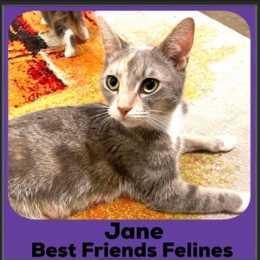 2023-Jane