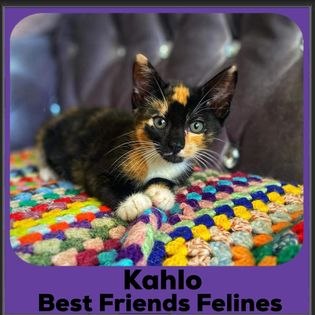 2023-Kahlo