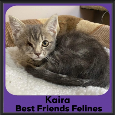 2023-Kaira