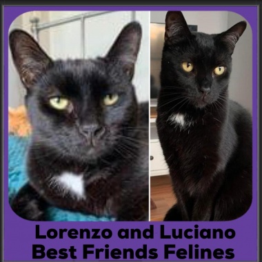 2023-Lorenzo-Luciano