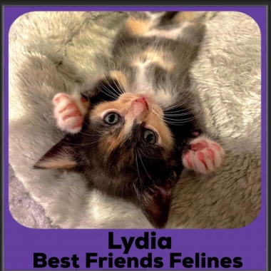 2023-Lydia-DSH