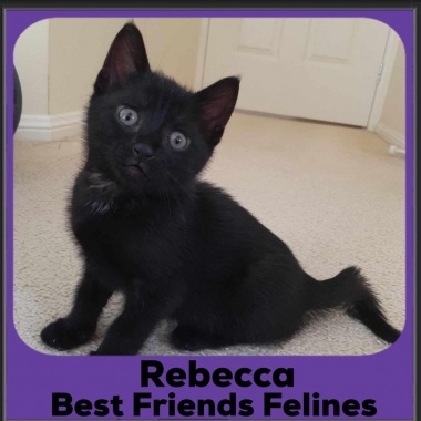 2023-Rebecca