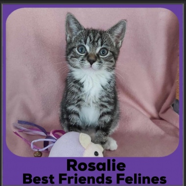 2023-Rosalie