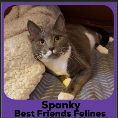 2_2023-Spanky