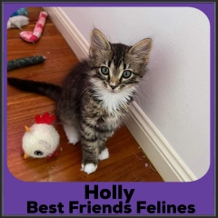 2021-Holly2