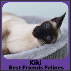2021-Kiki2