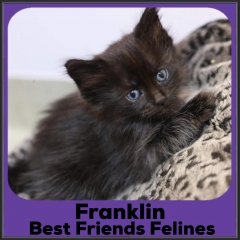 2022-Franklin