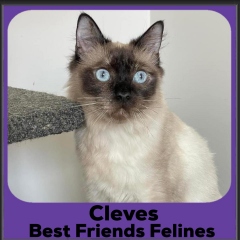 1_2023-Cleves