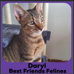 1_2023-Daryl