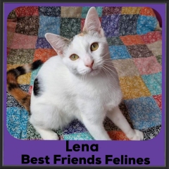 2023-Lena3