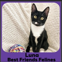 1_2023-Luna