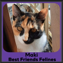1_2023-Maki