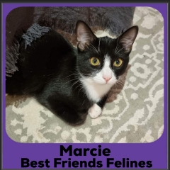 1_2023-Marcie