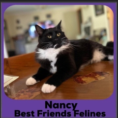 1_2023-Nancy