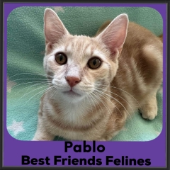 1_2023-Pablo
