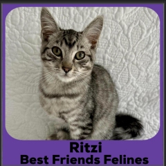 1_2023-Ritzi