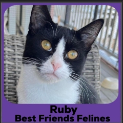 1_2023-Ruby