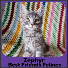 1_2023-Zephyr