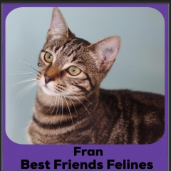 1_2024-Fran