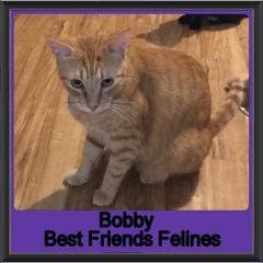 2018-Bobby1