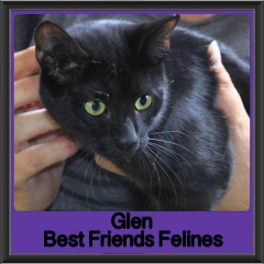 2018 - Glen