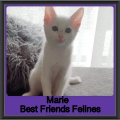 2018 - Marie